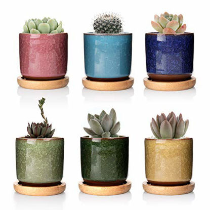 Picture of T4U 2.5 Inch Small Ceramic Succulent Planter Pot with Bamboo Saucer Set of 6, Ice Crack Glaze Porcelain Handicraft Plant Container Gift for Mom Sister Aunt Best for Home Office Desk Decoration