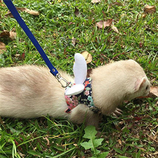 Picture of Ferret Harness and Leash Adjustable, Blue Sakura Cotton Cloth Ferret Walking Vest, Soft and Breathable Ferret Lead Leash with Angel Wings and Safe Bell