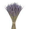 Picture of June Fox Dried Lavender Flowers 270-300 Stems 100% Natural Dried Lavender Bunches for Home Decoration, Home Fragrance, Handmade Soap Flower