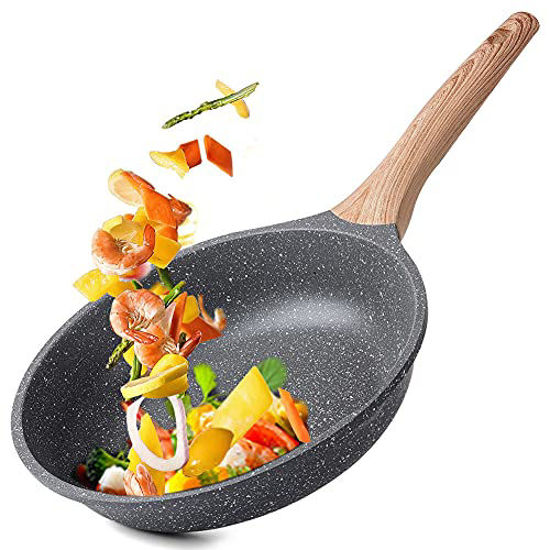 Caannasweis 9.5 Inch Nonstick Pan with Lid, Nonstick Stone Frying