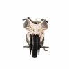 Picture of McFarlane Toys DC Multiverse Death Metal Batcycle