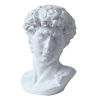 Picture of LKXHarleya 6 Inch Classic Greek Michelangelo David Bust Statue Replica Sculpture Figurine for Artist