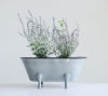 Picture of Creative Co-Op Decorative Metal Bathtub Container with Feet