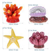 Picture of UEETEK 4 Pack Artificial Coral Plant Seastar Shell Decor Aquarium Reef Ornament Resin Crafts Decoration for Fish Tank