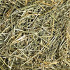 Picture of Small Pet Select Oat Hay Pet Food, 10 Lb.