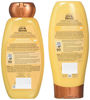 Picture of Garnier Whole Blends Honey Treasures Shampoo and Conditioner 12.5 Ounces each