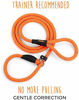 Picture of Mighty Paw Slip Rope Dog Leash | 6 ft, One-Size-Fits-All, Slip-On Rope Leash. Easy to Slip On, No Collar or Harness Needed. Durable & Weather Resistant Climbers Rope with Reflective Stitching (Orange)