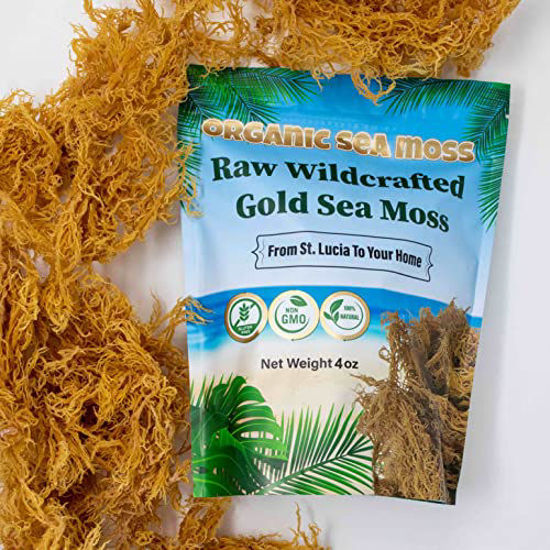 GetUSCart- Organics Nature Sea Moss Dried Organic Irish Sea Moss - Natural  Wildcrafted, Non-GMO & Gluten-Free Sea Moss - Makes Perfect 5 Jars Of Sea  Moss Gel - Support Bones & Joints