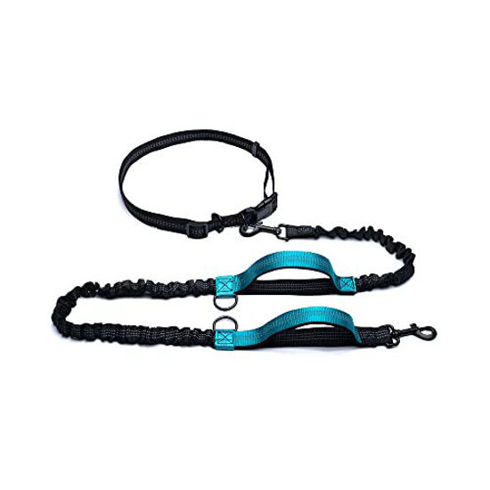 Dual retractable dog top leash for large dogs