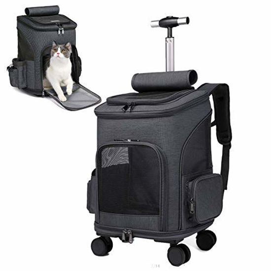 Cat travel hotsell backpack with window