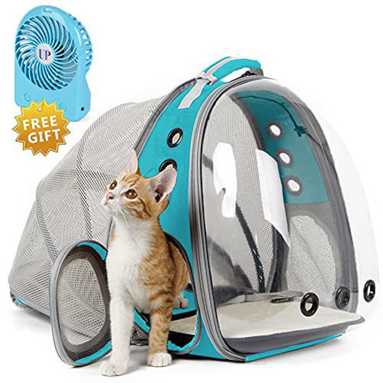 Cat carrier for 20 clearance lb cat