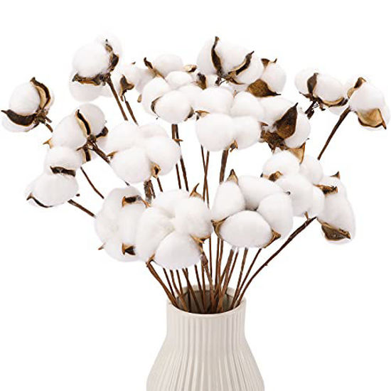 Picture of CEWOR 20pcs Cotton Stems, Fake Cotton Flowers Dried Cotton Picks Stalks Plants, Artificial Cotton Floral Stems Faux Farmhouse Decorations for Vase Home Decor