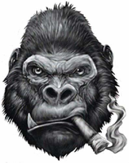 Picture of GORILLA SMOKING CIGAR BUMPER STICKER TOOLBOX STICKER LAPTOP STICKER DIE CUT