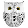 Picture of Owl Statue for Home Decor Accents Living Room Office Bedroom Kitchen Laundry House Apartment Dorm Bar, APPS2Car Little Crafted Buhos Decoration for Shelf Table Decor, BFF Gifts for Owls Lovers (White)