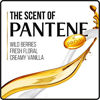 Picture of Pantene Argan Oil Shampoo for Frizz Control, Smooth and Sleek, 25.4 Fl Oz (Pack of 2)