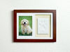 Picture of Tiny Ideas Dog or Cat Paw Print Keepsake Wall Frame Kit