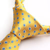 Picture of HISDERN Extra Long Floral Dots Tie Handkerchief Men's Necktie & Pocket Square Set,Yellow & Blue,XL, 63 inches length