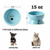 Y YHY Elevated Cat Food Bowl, Raised Pet Food and Water Bowl, Cat and Small Dog  Bowl, Tilted Ceramic Cat Water Bowl No Spill,15oz, Dishwasher Safe White