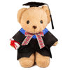 Picture of Graduation Gift 2021 Graduation Bear 10 inch Graduation Plush Stuffed Animal Bear (Happy Graduation)