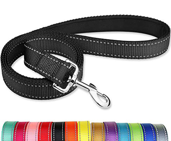 Double clearance sided leash