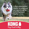 Picture of KONG - Ball with Hole - Durable Rubber, Fetch Toy - for Small Dogs