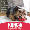 Picture of KONG - Goodie Bone - Durable Rubber Chew Bone, Treat Dispensing Dog Toy - for Medium Dogs