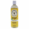 Picture of Burt's Bees Baby Shampoo & Wash, Fragrance, 12 Fl Oz