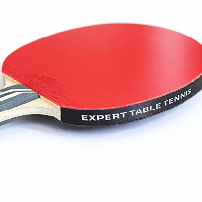 Picture of Palio Legend 3.0 Table Tennis Racket & Case - ITTF Approved Advanced Ping Pong Bat