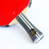 Picture of Palio Legend 3.0 Table Tennis Racket & Case - ITTF Approved Advanced Ping Pong Bat