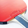 Picture of Palio Legend 3.0 Table Tennis Racket & Case - ITTF Approved Advanced Ping Pong Bat