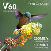 Picture of Prograde Digital SD UHS-II 128GB Card V60 -Up to 130MB/s Write Speed and 250 MB/s Read Speed | for Professional Vloggers, Filmmakers, Photographers & Content Curators