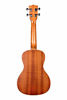 Picture of Kala Satin Mahogany Concert Ukulele with White Binding (KA-C),Brown