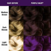 Picture of MANIC PANIC Purple Haze Hair Dye Classic