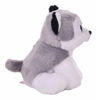 Picture of Ty Beanie Baby Buff The Husky Dog