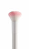 Picture of wet n wild Blush Brush