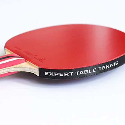 Picture of Palio Master 3.0 Table Tennis Racket & Case - ITTF Approved Intermediate Ping Pong Bat