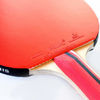 Picture of Palio Master 3.0 Table Tennis Racket & Case - ITTF Approved Intermediate Ping Pong Bat