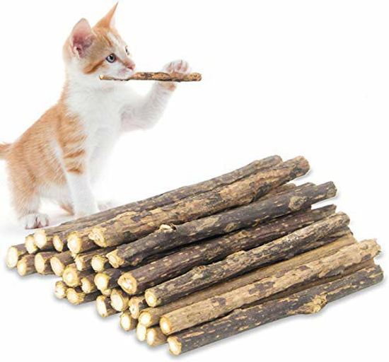 Sticks for 2024 cats to chew