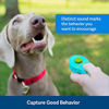 Picture of PetSafe Clik-R Dog Training Clicker - Positive Behavior Reinforcer for Pets - All Ages, Puppy and Adult Dogs - Use to Reward and Train - Training Guide Included - Teal