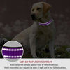 Picture of Reflective Dog Collar with Buckle Adjustable Safety Nylon Collars for Small Medium Large Dogs, Purple M