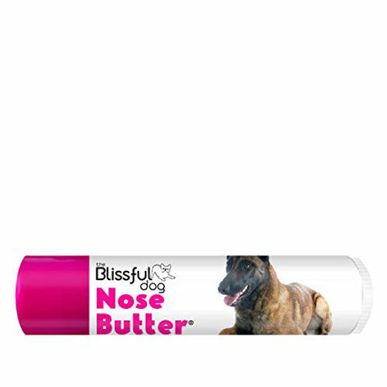 German shepherd nose outlet butter