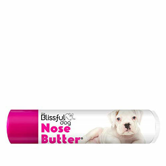 Picture of The Blissful Dog White Boxer Unscented Nose Butter, 0.15-Ounce