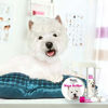 Picture of The Blissful Dog West Highland Terrier Unscented Nose Butter