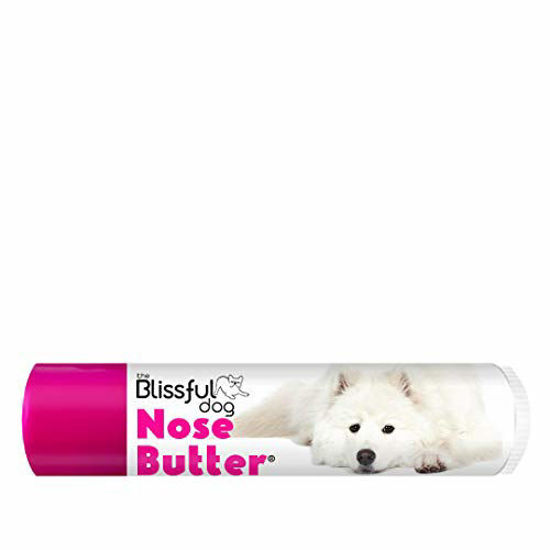 Picture of The Blissful Dog Samoyed Unscented Nose Butter - Dog Nose Butter, 0.15 Ounce