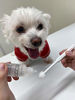 Picture of Toothbrush for dogs easy to use made in Japan Kenko care by Mind Up (Cylinder Head)