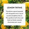 Picture of Air Wick Essential Mist, Essential Oil Diffuser Refill, Lemon Thyme, 1ct, Air Freshener