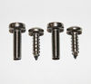 Picture of HPP License Plate Stainless Steel Screws for All Infiniti Models from 1989-2015