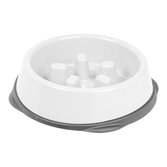 Picture of IRIS Slow Feeding Bowl for Short Snouted Pets, White/Gray