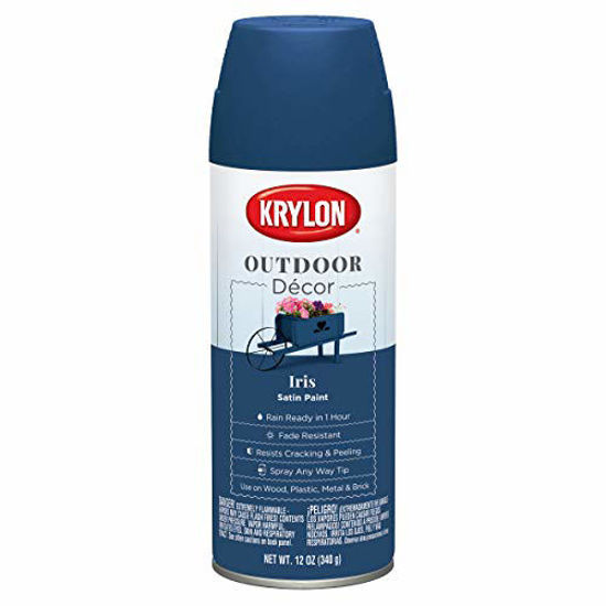 Picture of Krylon Outdoor Décor Spray Paint, 12 Ounce (Pack of 1), Iris