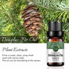 Picture of Douglas Fir Essential Oil 100% Pure Oganic Plant Natrual Douglas Fir Oil for Diffuser Aromatherapy Message Hair Skin Care Sleep - 10ML